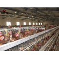 Hot Selling A Frame Automatic Chicken Battery Layer Cage Price